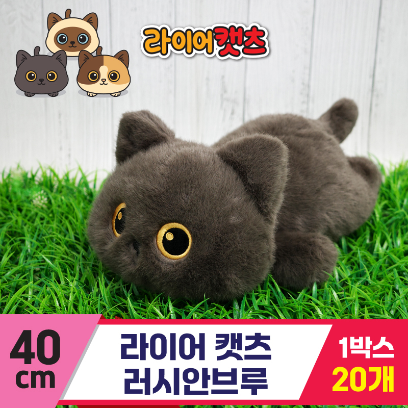 [GG]40cm 라이어캣츠 러시안브루<20>