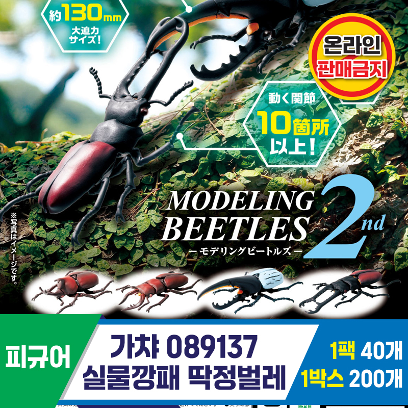 [KK]가챠 089137 실물깡패 딱정벌레