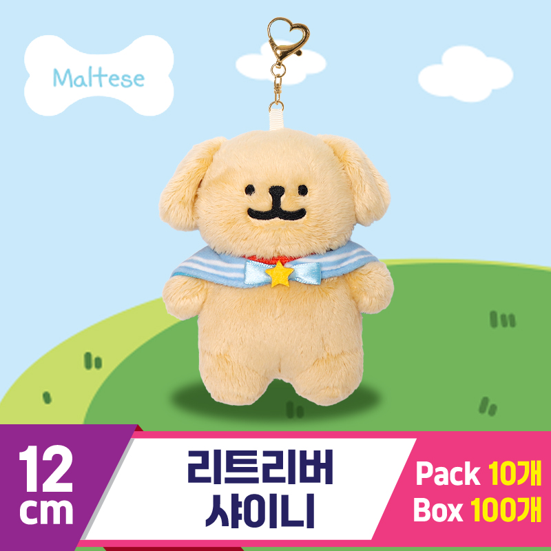 [DT]12cm 리트리버 샤이니