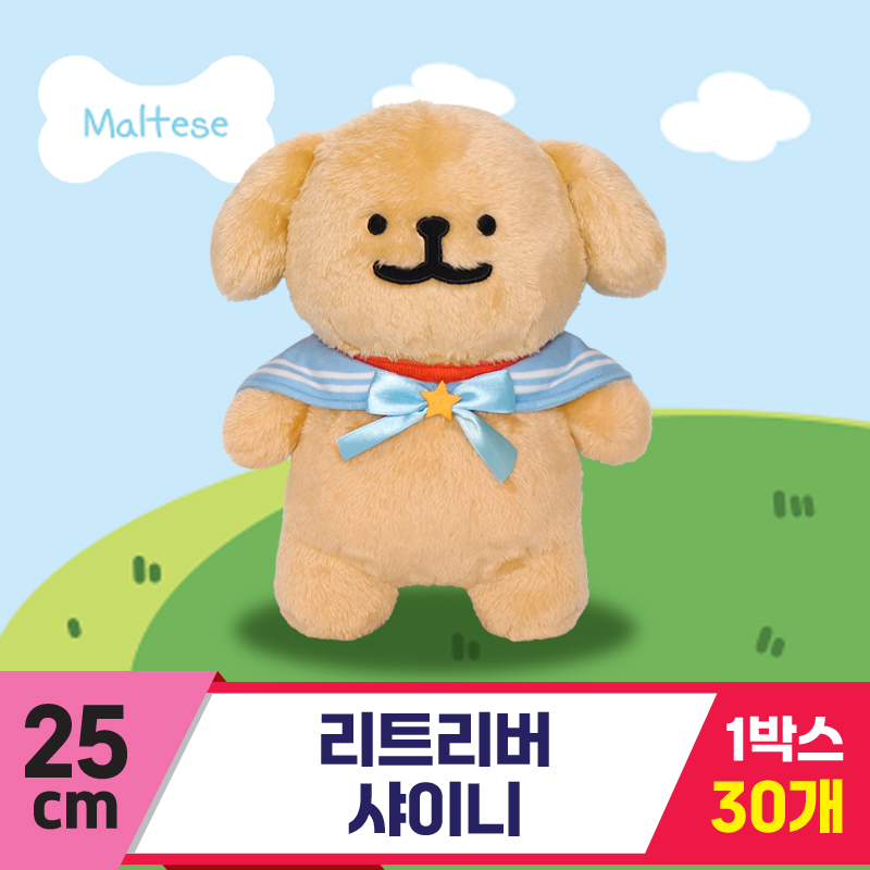 [DT]25cm 리트리버 샤이니